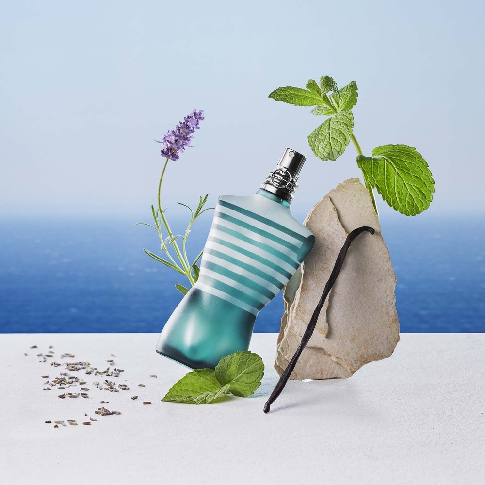 Eau de Toilette pour homme le Male Jean Paul Gaultier